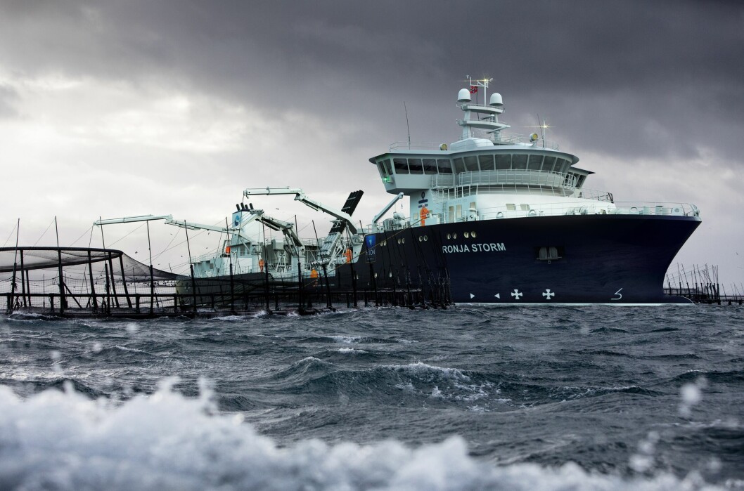 Med sine 116,2 meter og 7500 kbm store tanker blir Sølvtransbåten «Ronja Storm» den klart største brønnbåten i verden. Båten skal gå for det Tasmanske oppdrettsselskapet Huon Aquaculture Group. Bildet av merdene er ekte og hentet fra de aktuelle lokalitetene i Storm Bay, der båten skal operere. Båten er tegnet inn. Foto/illustrasjon: Havyard.