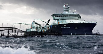Bli med om bord i «Ronja Storm» - verdens desidert største brønnbåt