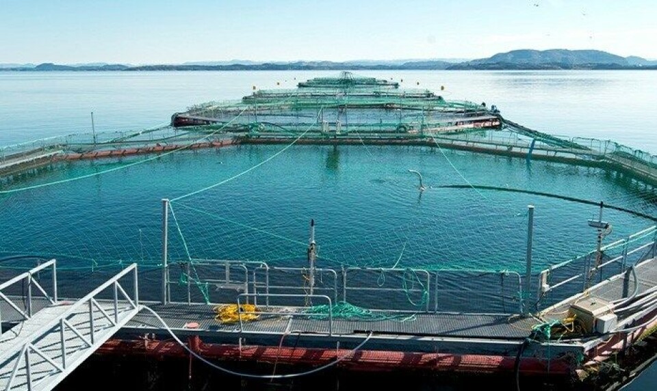 Foto: Blom Fiskeoppdrett AS.