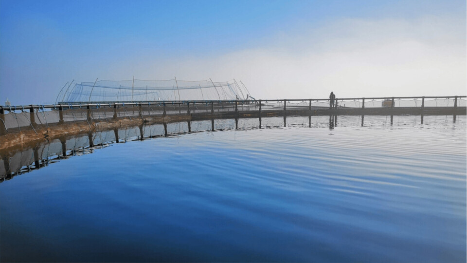 Illustrasjonsfoto av en av Blom Fiskeoppdrett sine lokaliteter. Foto: Blom Fiskeoppdrett.