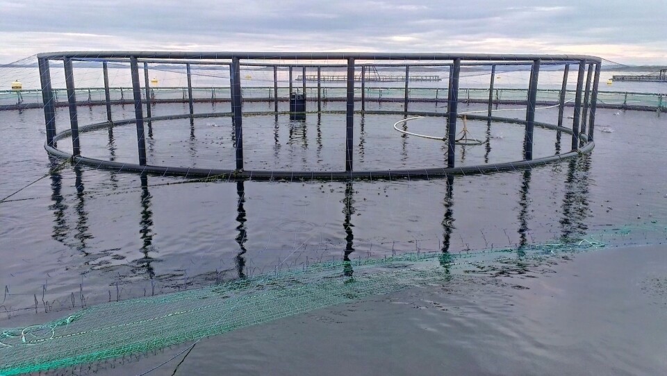 Avgjørelsen til Arbeidstilsynet vil ha stor betydning for næringen – både for bygging av nye flåter, men ikke minst for endringer på dagens flåter. Illustrasjonsfoto: Elvis Chikwati
