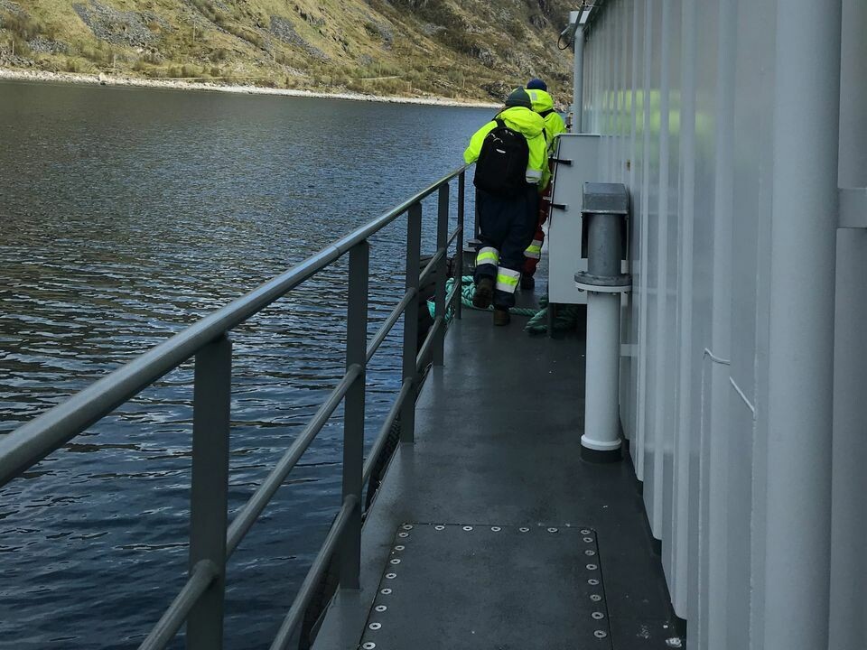 Arbeidstilsynet  slår dermed fast at arbeidstakere som jobber på eller i nærheten av vann, har like stort behov for sikring mot fall som arbeidstakere som jobber på land. Foto: Arbeidstilsynet.