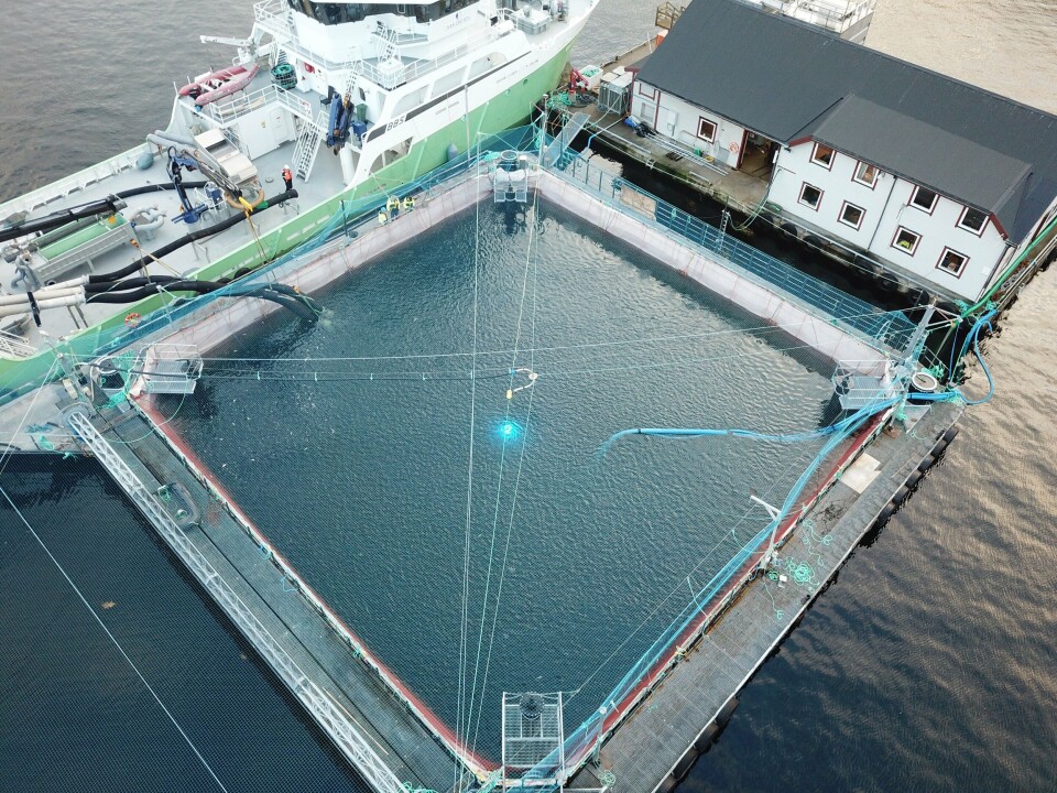 Lukket merd for postsmolt. Foto: Bolaks.