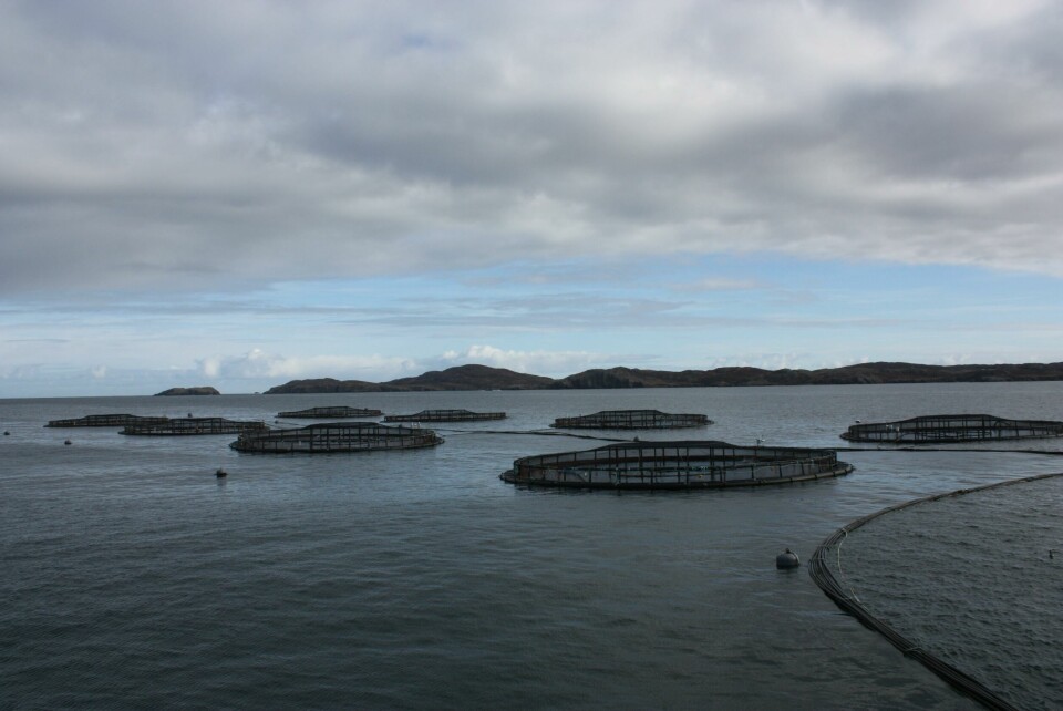 Scottish Salmon Company har bla. lokaliteter ved Loch Roag ved Isle of Lewis. Foto: Scottish Salmon Company.