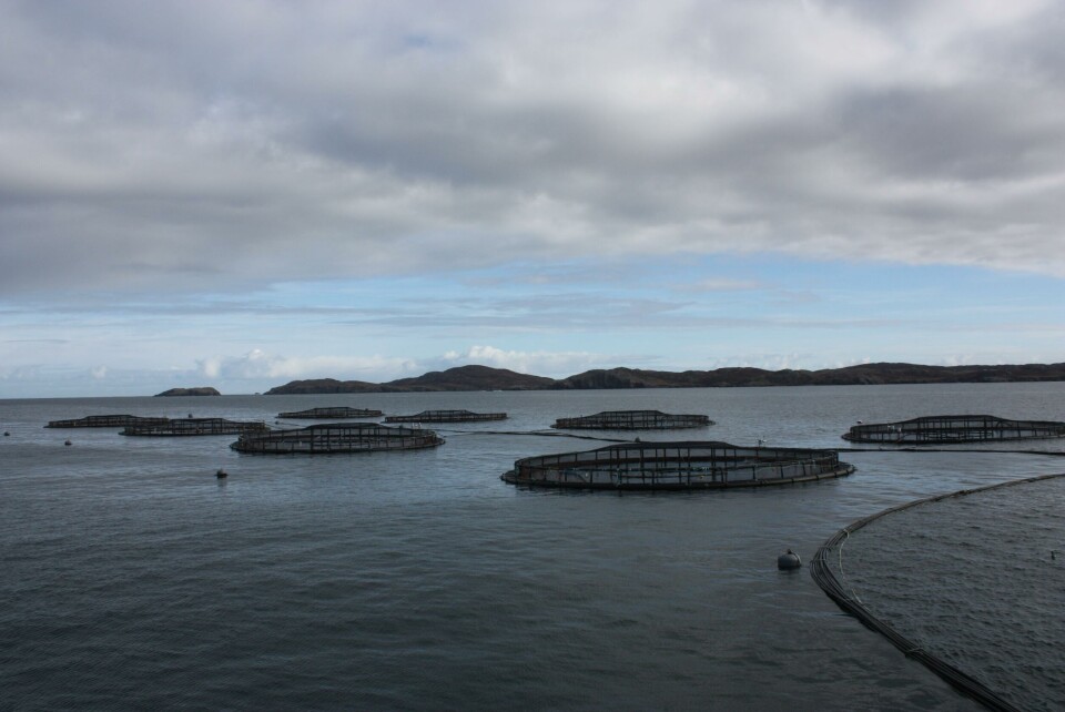 Scottish Salmon Company har bla. lokaliteter ved Loch Roag ved Isle of Lewis. Foto: Scottish Salmon Company. Scottish Salmon Company har bla. lokaliteter ved Loch Roag ved Isle of Lewis. Foto: Scottish Salmon Company.