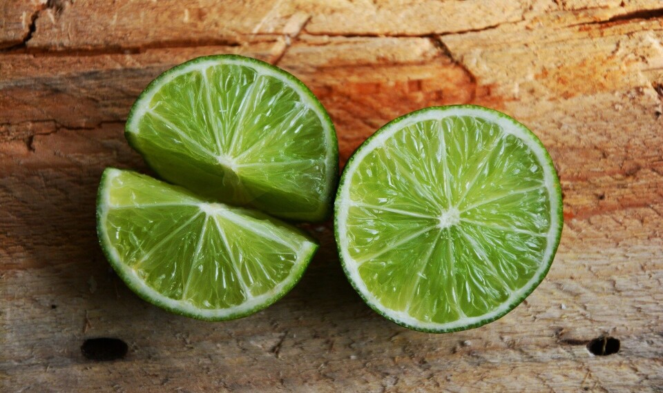 Forskere har forlenget hyllelivet til regnbueørret bl.a. ved å bruke lime. Foto: Pixabay