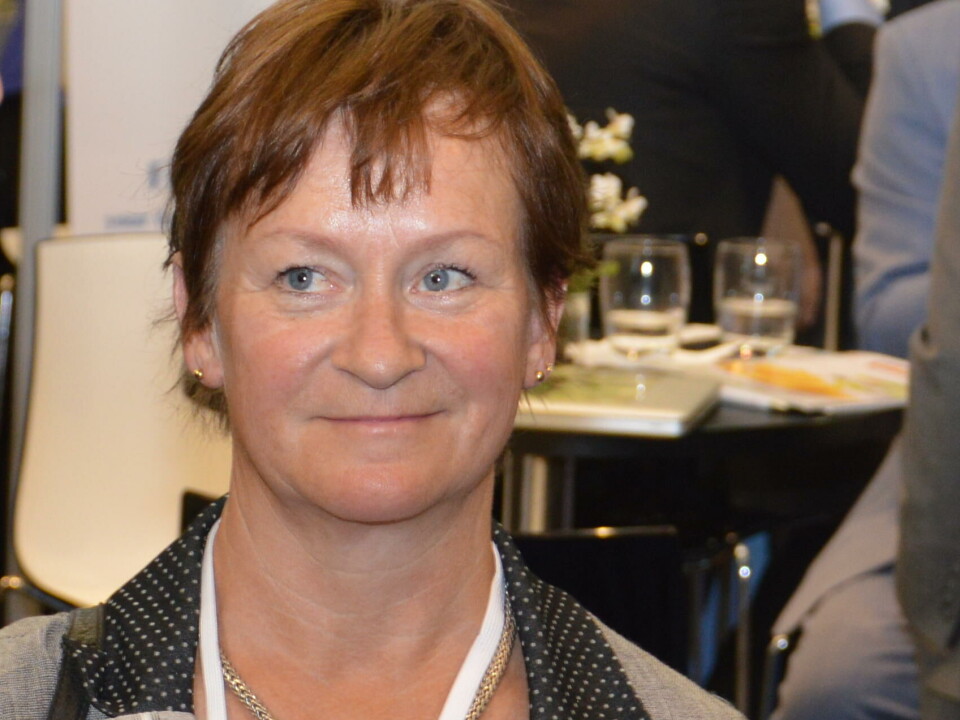 Inger Solberg, Innovasjon Norge