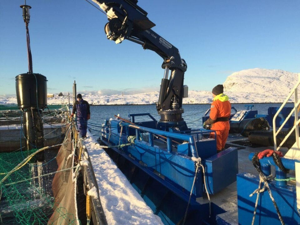 E. Karstensen har sammen med Marø Havbruk satset på luselaser og mener dette i kombinasjon med rensefisk gir dem gode resultater. Klikk for større bilde. Klikk for større bilde. Foto: E. Karstensen.