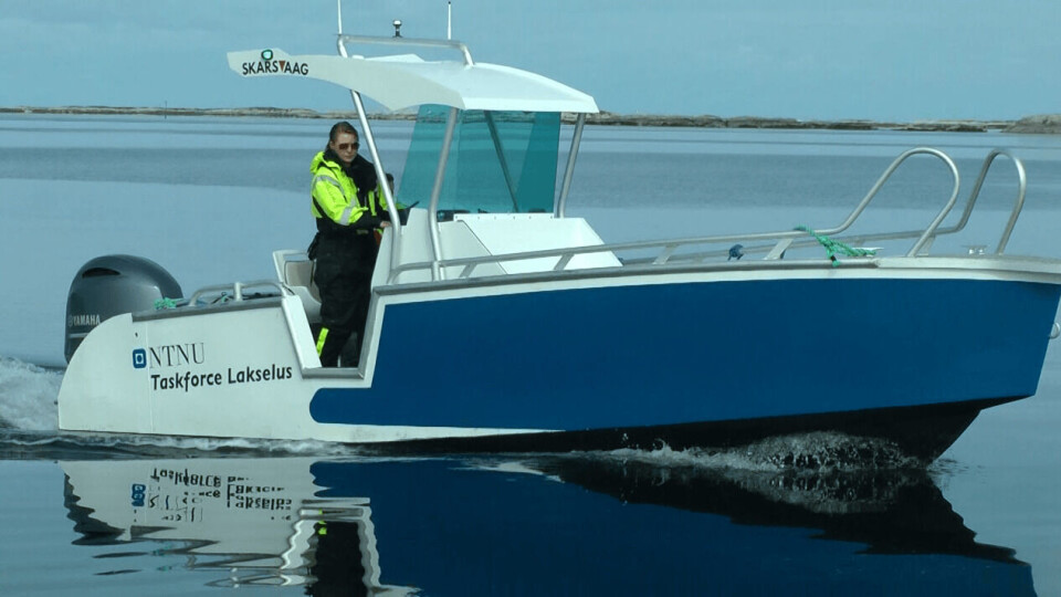 Lone Sunniva Jevne forteller at det er viktig med god kommunikajson når en praktiserer koordinert produksjon og brakklegging. Foto: John Birger Stav. Lone Sunniva Jevne forteller at det er viktig med god kommunikajson når en praktiserer koordinert produksjon og brakklegging. Foto: John Birger Stav.