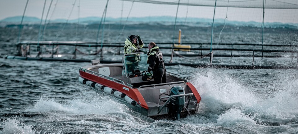 Tar klage til følge: Måsøval kan få visningstillatelse