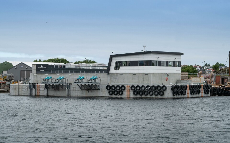 Bremnes Seashore sier de er fornøyd med å overta en så flott flåte. Foto: Steinsvik Bremnes Seashore sier de er fornøyd med å overta en så flott flåte. Foto: Steinsvik