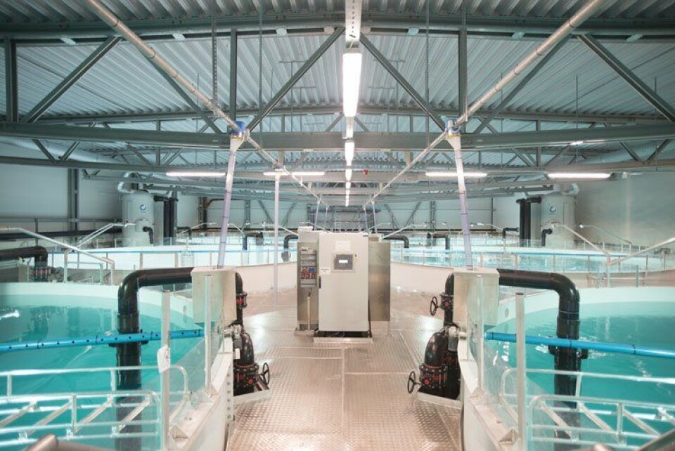 Artec Aqua har levert utstyret til Cermaqs settefiskanlegg i Forsan, der det kan produseres 12 millioner smolt. Foto: Bjørn Finnøy/Artec Aqua. Artec Aqua har levert utstyret til Cermaqs settefiskanlegg i Forsan, der det kan produseres 12 millioner smolt. Foto: Bjørn Finnøy/Artec Aqua.