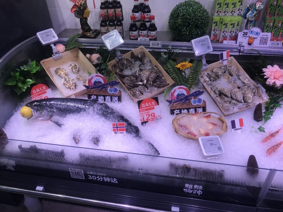 Foto: Norges sjømatråd Foto: Norges sjømatråd