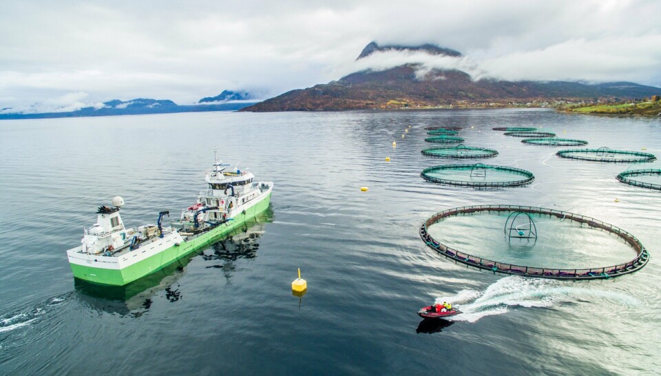 Brønnbåt Nord sitt fartøy Lifjell. Foto: Marius Arvesen.