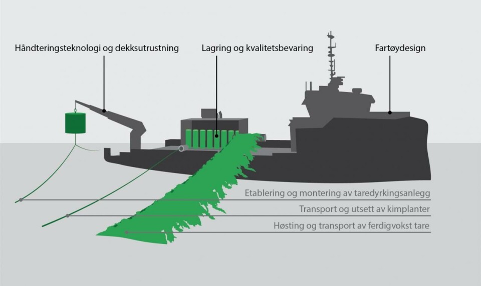 Hovedmålet for prosjektet er å utvikle framtidsrettet konsept for taredyrkingsfartøy, inkl. fartøydesign, håndteringsteknologi og dekksutrustning, og løsninger for lagring og kvalitetsbevaring av tare som muliggjør industriell og høykapasitets taredyrking, på en sikker, effektiv og kvalitetsbevarende måte. Illustrasjon: Sintef Ocean. Hovedmålet for prosjektet er å utvikle framtidsrettet konsept for taredyrkingsfartøy, inkl. fartøydesign, håndteringsteknologi og dekksutrustning, og løsninger for lagring og kvalitetsbevaring av tare som muliggjør industriell og høykapasitets taredyrking, på en sikker, effektiv og kvalitetsbevarende måte. Illustrasjon: Sintef Ocean.