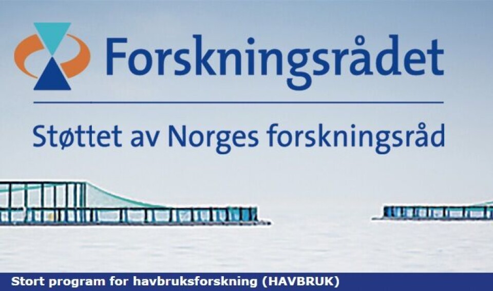 Forskningsrådet bevilger 180 millioner til 38 nye prosjekter