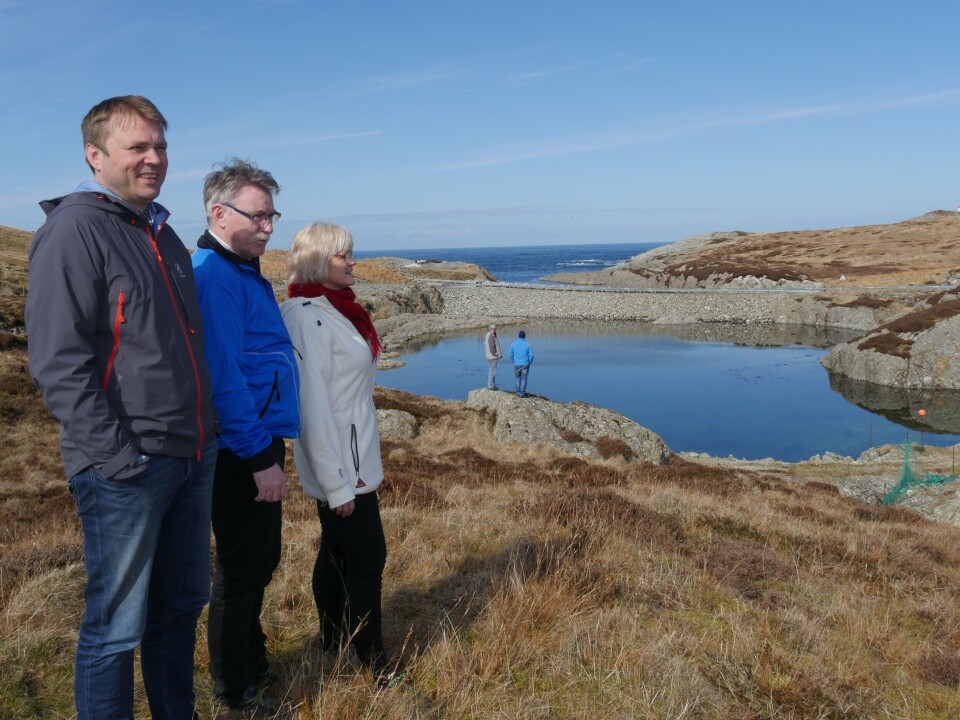 Hans Haddal, Oddmund Storesund (i midten), og grunneigar Ann-Margrethe Grepstad på tomta. Foto: Bulandet Miljøfisk.