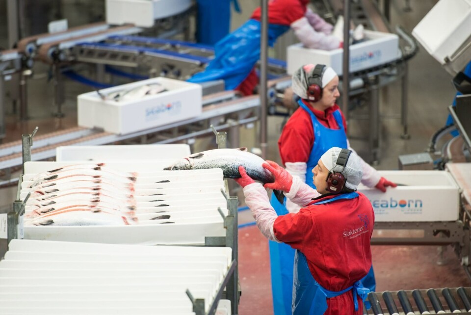 KMC Properties vil ha ansvar for bygging av det nye slakteriet, og arbeidet forventes å starte i 2022, med planlagt ferdigstillelse i 2023/2024. Foto: Slakteriet Holding AS KMC Properties vil ha ansvar for bygging av det nye slakteriet, og arbeidet forventes å starte i 2022, med planlagt ferdigstillelse i 2023/2024. Foto: Slakteriet Holding AS