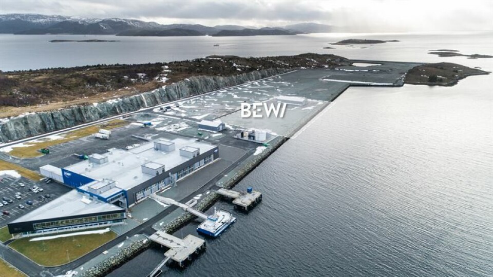 Oppdrettsindustrien har et stort behov for ulike emballasjeløsninger, melder BEWI og opplyser de skal bygge ny emballasjefabrikk på Hitra. Foto: BEWI