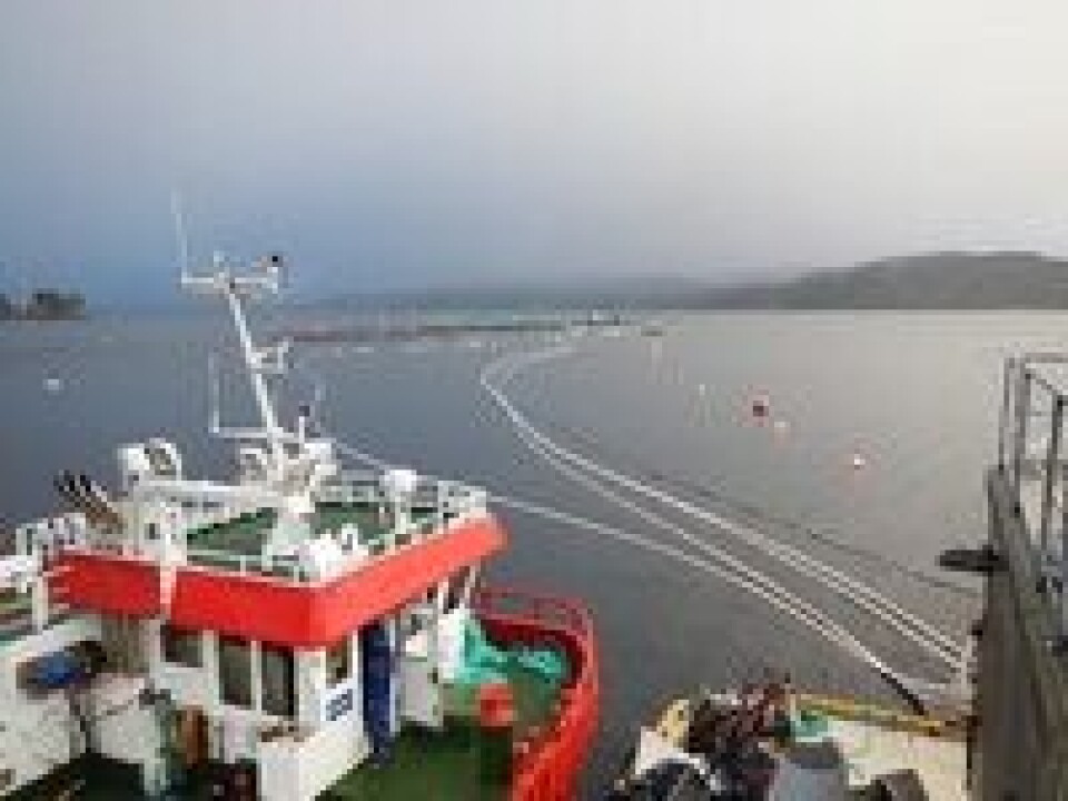 Austevoll Marine Group merker stor pågang innen arbeidsbåter. Foto: AMG