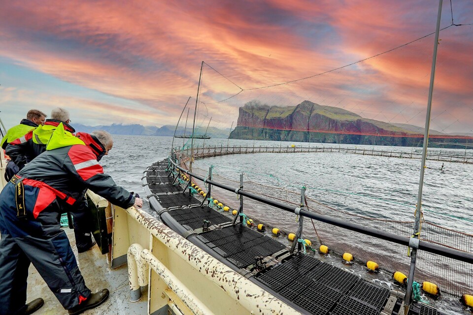 En av Hiddenfjord sine lokaliteter. Foto: Alvur Haraldsen