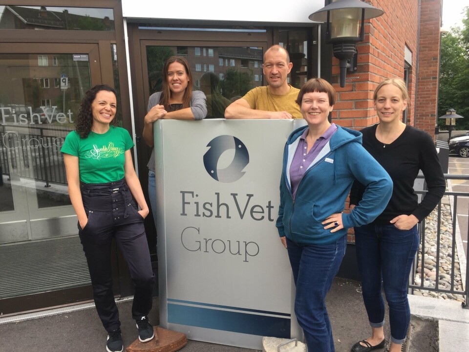Fish Vet Group sitt histopatologiteam. Fra venstre: Marta Alarcon, Liv Østevik, Kai-Inge Lie, Hege Hellberg og Marianne Kraugerud  Foto: FishVet Group