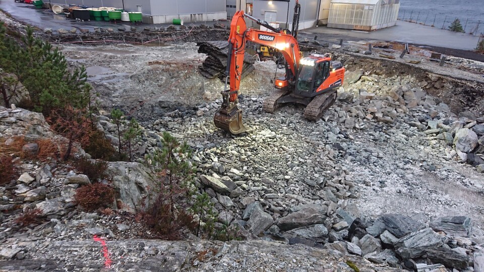 Om alt går som planlagt kan første generasjon fisk slaktes høsten 2021. Foto: ScaleAQ Om alt går som planlagt kan første generasjon fisk slaktes høsten 2021. Foto: ScaleAQ