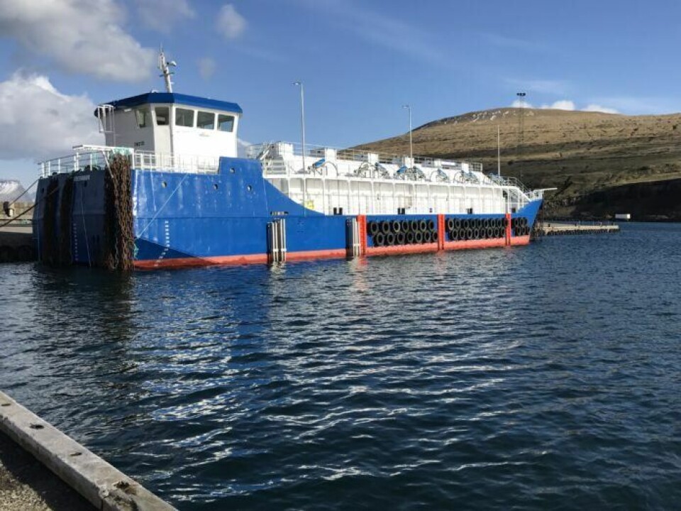 'Matarheyggur'. Foto: Hiddenfjord.