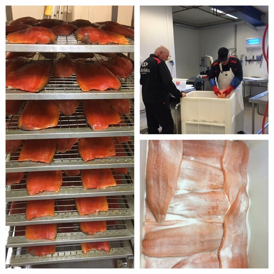 Saltenlaks produserer laksen på den gamle måten, med tradisjonsrike oppskrifter. Foto: Saltenlaks.