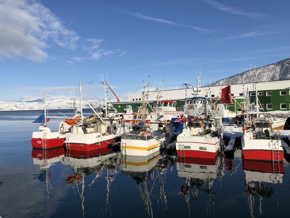 Hybrid-båten Senjahav er omringet av vanlige fiskebåter i sin hjemmehavn i Botnhamn. Foto: Akva Group.