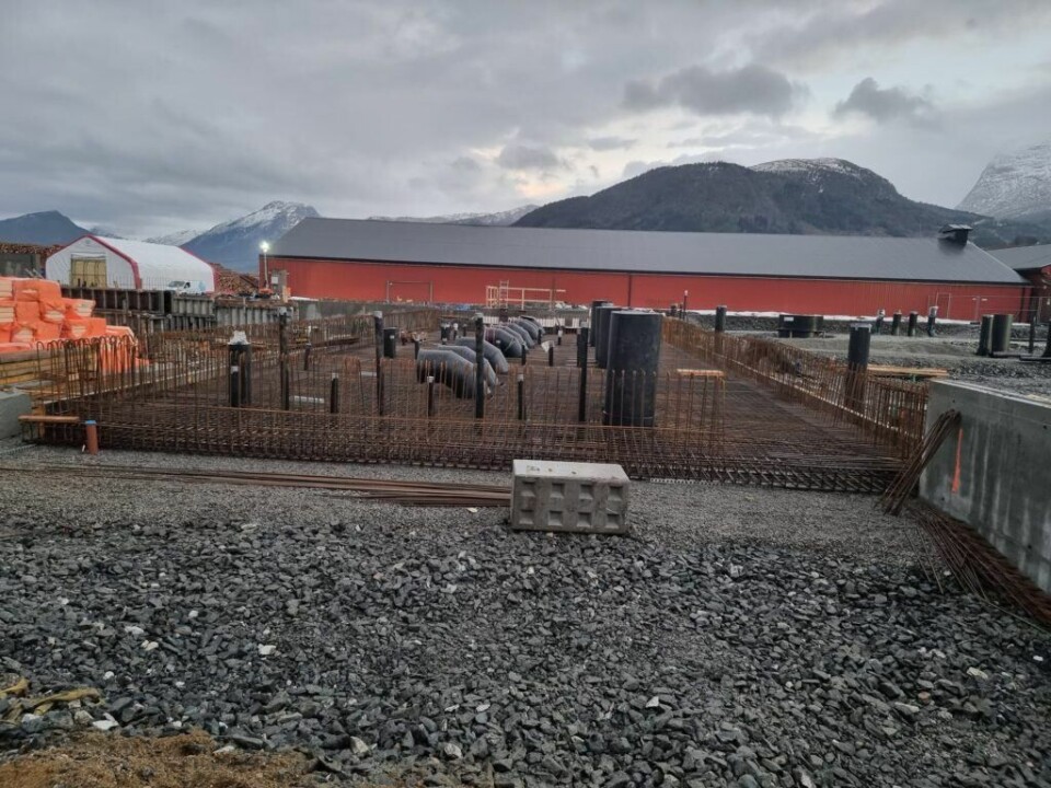 Her bygges Sande Settefisk sitt nye RAS-anlegg. Foto: Sterner