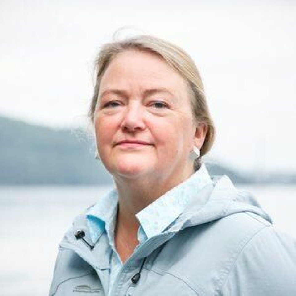 Fagdirektør Karin Kroon Boxaspen i Havforskningsinstituttet forteller at alle stasjoner langs norskekysten som er undersøkt så langt har tilfredsstillende miljøkvalitet for næringssalt og planteplankton. Foto: HI. Fagdirektør Karin Kroon Boxaspen i Havforskningsinstituttet forteller at alle stasjoner langs norskekysten som er undersøkt så langt har tilfredsstillende miljøkvalitet for næringssalt og planteplankton. Foto: HI.