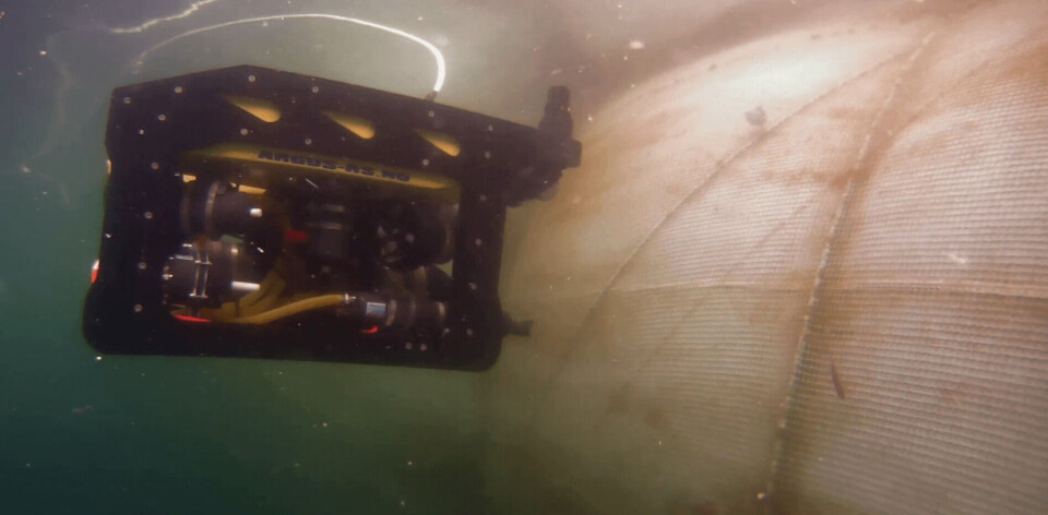 Not-inspeksjon er en vanlig ROV-operasjon i havbruk, som har stort potensiale til å automatiseres. Foto: Sintef Not-inspeksjon er en vanlig ROV-operasjon i havbruk, som har stort potensiale til å automatiseres. Foto: Sintef