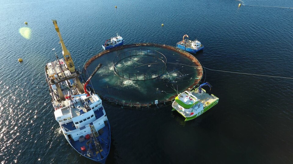FHF lyser ut midler for å kartlegge mulige støykilder i produksjon av laksefisk og avdekke i hvilken grad støy representerer en reell velferdsutfordring for fisken, og i tilfelle utforme forslag til anbefalinger om tiltak. Foto: Aquatiq.