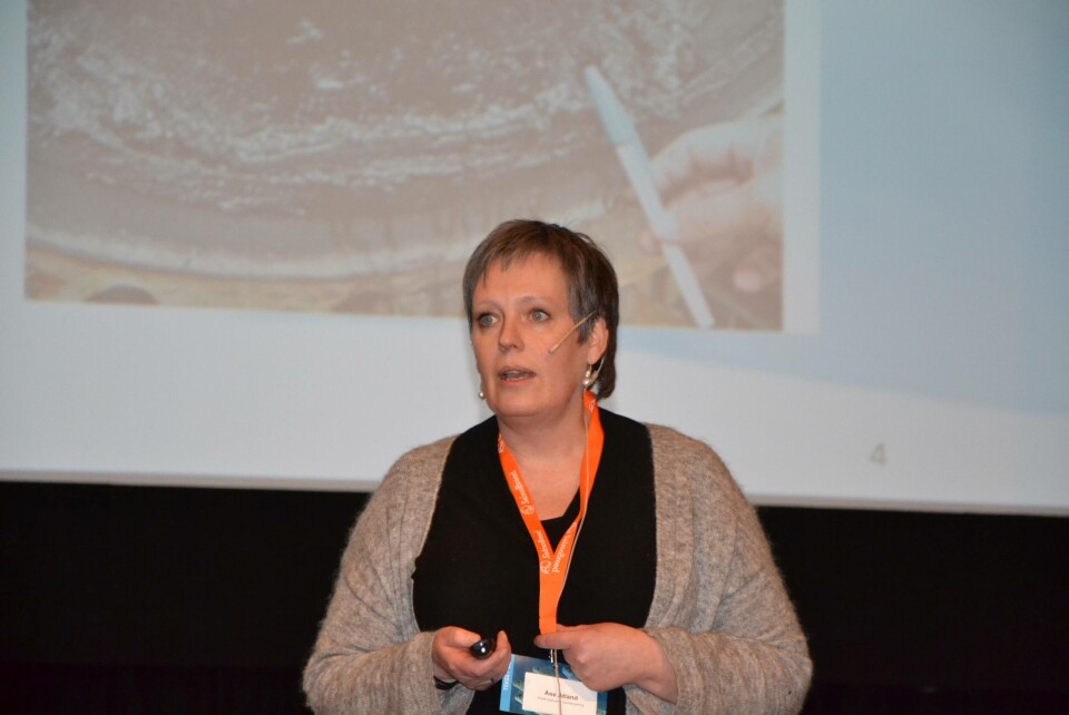 Åse Åtland forteller at NIVA har utviklet passive prøvetakere som kan måle hydrogensulfid i RAS-anlegg. Foto: Magnus Petersen/Kyst.no.