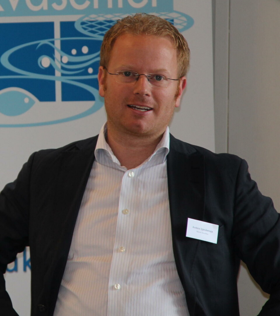 Anders Gjendemsjø er nasjonal leder for fiskeri og havbrukssektoren i Deloitte.
