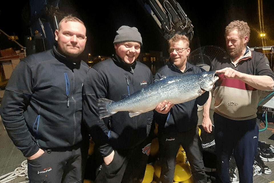 Fra venstre: Gunnar Daníel, Kristján Kári, Óskar Gíslason og Páll Línda