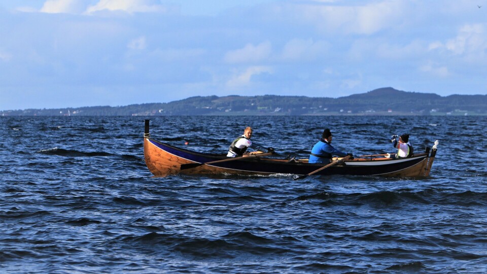 Bilde fra nestsiste etappe av roturen. Foto: Håkon N Rønning.