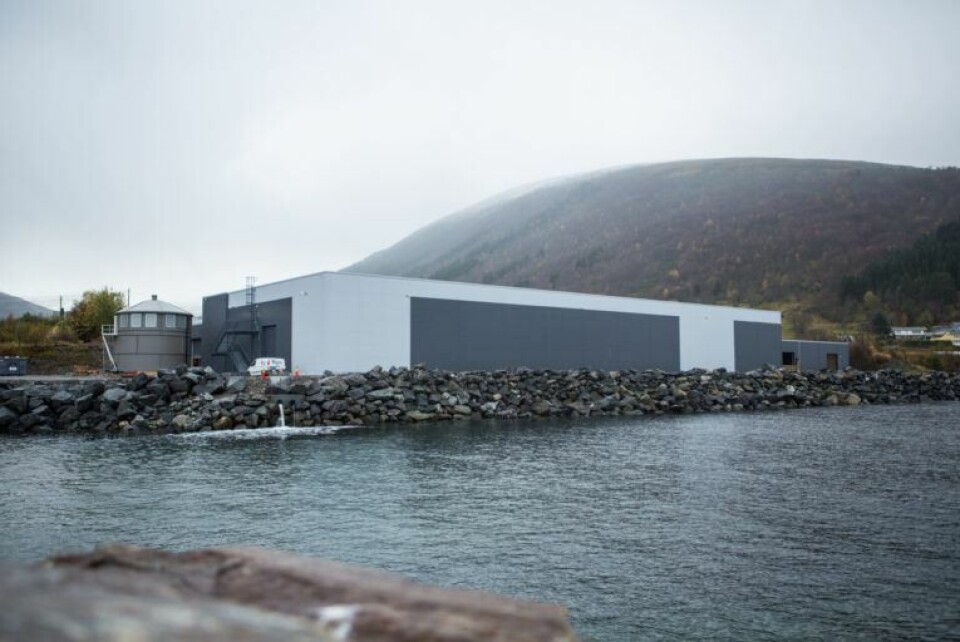 AquaGen sitt landbaserte stamfiskanlegg Profunda i Barstadvik i Ørsta kommune. Foto: Matias Myklebust.