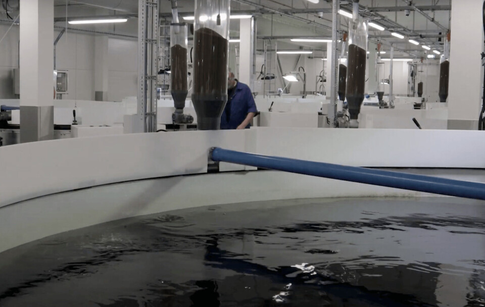 Det er påvist ILA på settefiskanlegget til Salangfisk. Foto: Salangfisk