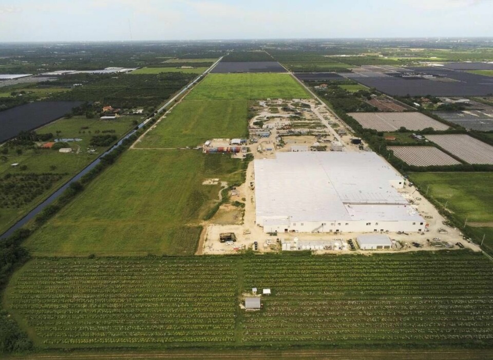 Fase 1 av byggingen i Florida er snart ferdig. Selskapet håper på å kunne starte slaktingen i tredjekvartal. Foto: Atlantic Sapphire