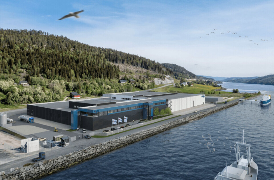 Det er Pure Salmon Kaldnes som har totalentreprisen til det som skal bli verdens største settefiskanlegg. Nå har Helland Silosystem fått en delkontrakt. Illustrasjon: SalMar: