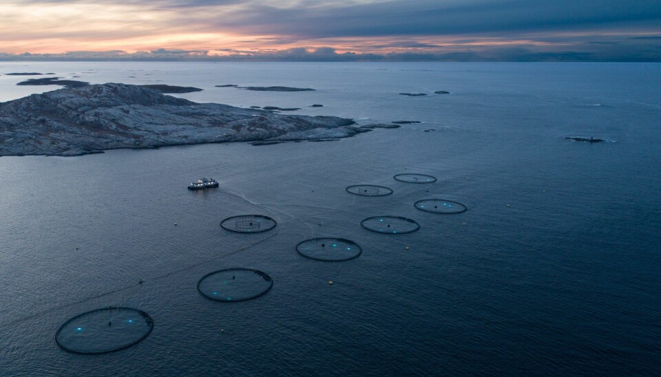 Illustrasjonsfoto fra en av Bjørøya sine lokaliteter.