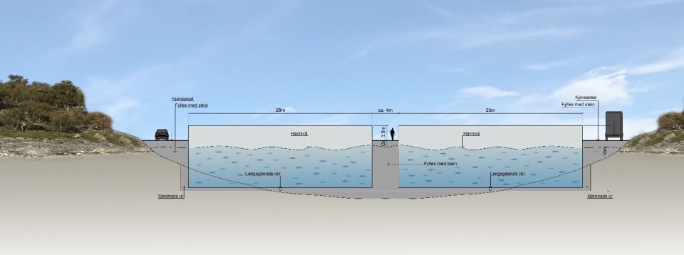 Prinsippskisse av Aquaculture Innovation sitt nedsenkede laksenlegg i Brønnøy kommune. Illustrasjon: Norconsult
