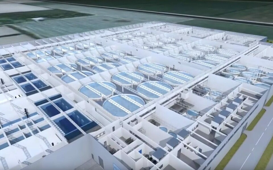 Fra anlegget til Atlantic Sapphire i Miami skal slammet tas ut og nyttiggjøres. Kontrakten på slamavskillingssystemet er gått til Scanship. Foto: skjemdump fra Atlantic Sapphire video.