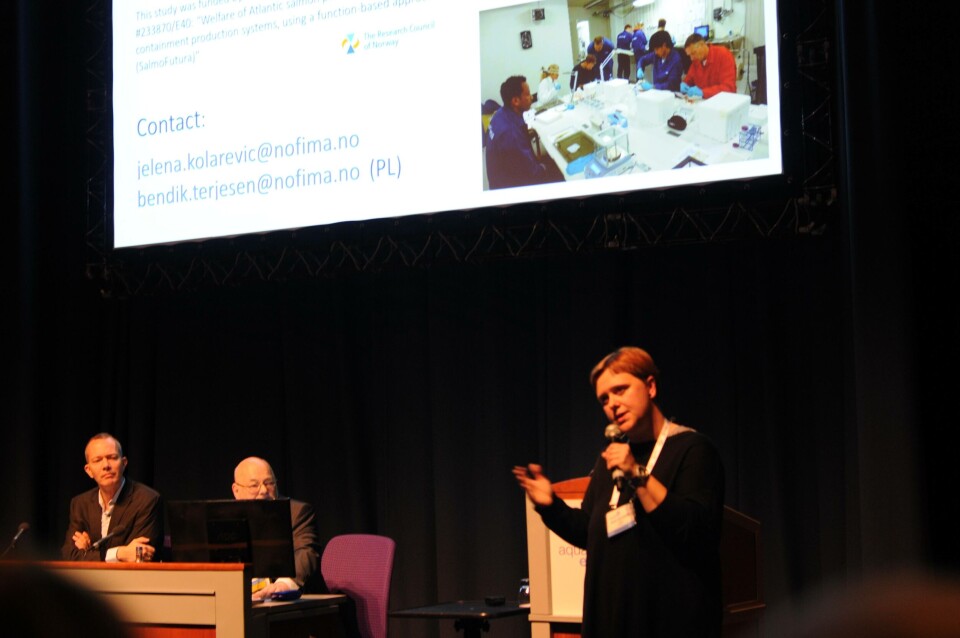 Forsker Jelena Kolarevic snakket på EAS-konferansen om stress på fisk i RAS-systemer. - Det er mye vi ikke vet, sa hun. Foto: Pål Mugaas Jensen.