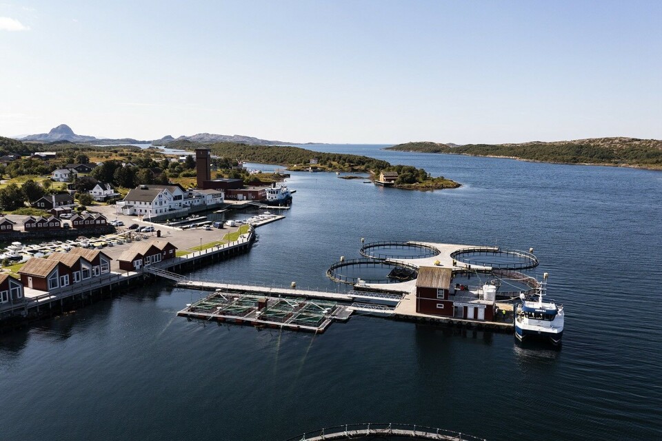 Torghatten Aqua-konsernet vil satse. Nå inviterer de både lokale og andre investorer inn. Bildet viser en av virksomhetene i konsernet; oppdretts- og besøkssenteret Norsk Havbrukssenter på Toft i Brønnøysund. Foto: Norsk Havbrukssenter Torghatten Aqua-konsernet vil satse. Nå inviterer de både lokale og andre investorer inn. Bildet viser en av virksomhetene i konsernet; oppdretts- og besøkssenteret Norsk Havbrukssenter på Toft i Brønnøysund. Foto: Norsk Havbrukssenter