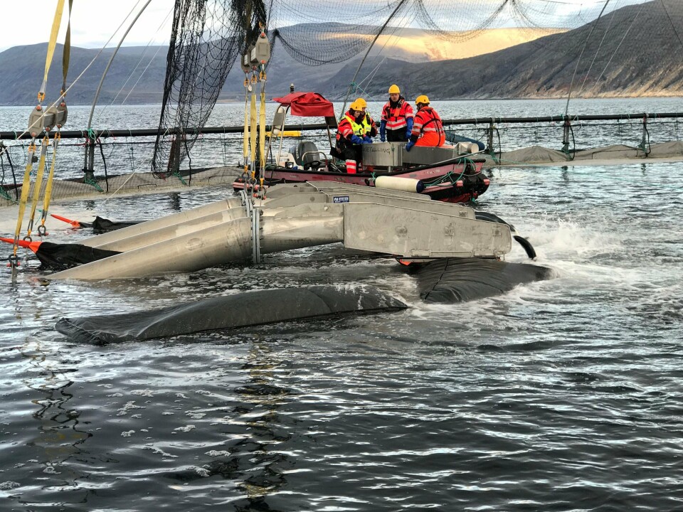 Avlusing i Finnmark. Foto: Smøla Klekkeri og Settefisk.