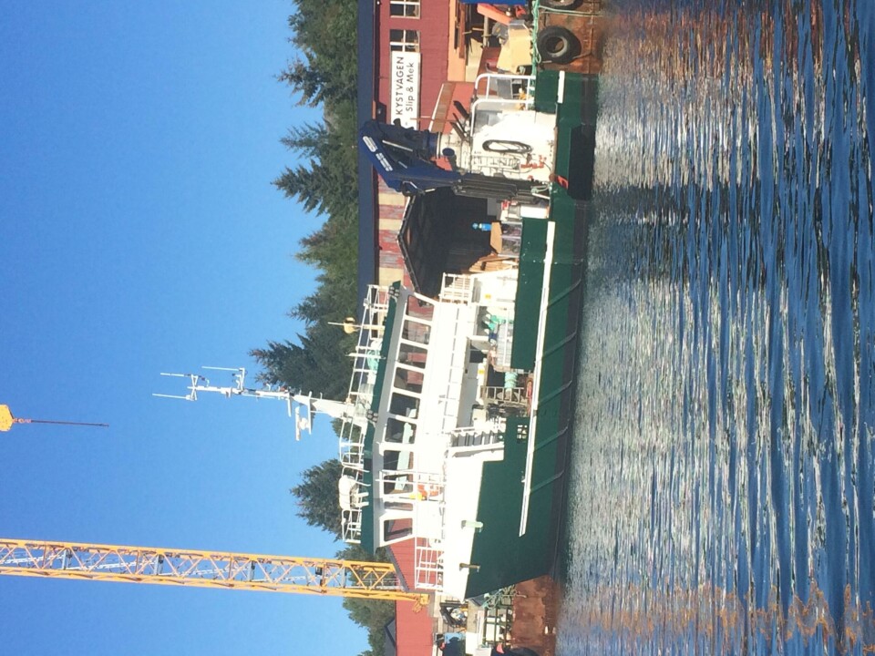 Labor er en aluminiumskatamaran som ble kjøpt fra Aqua Seawork og hette tidligere Aqua Multi. Foto:  Smøla Klekkeri og Settefisk AS.
