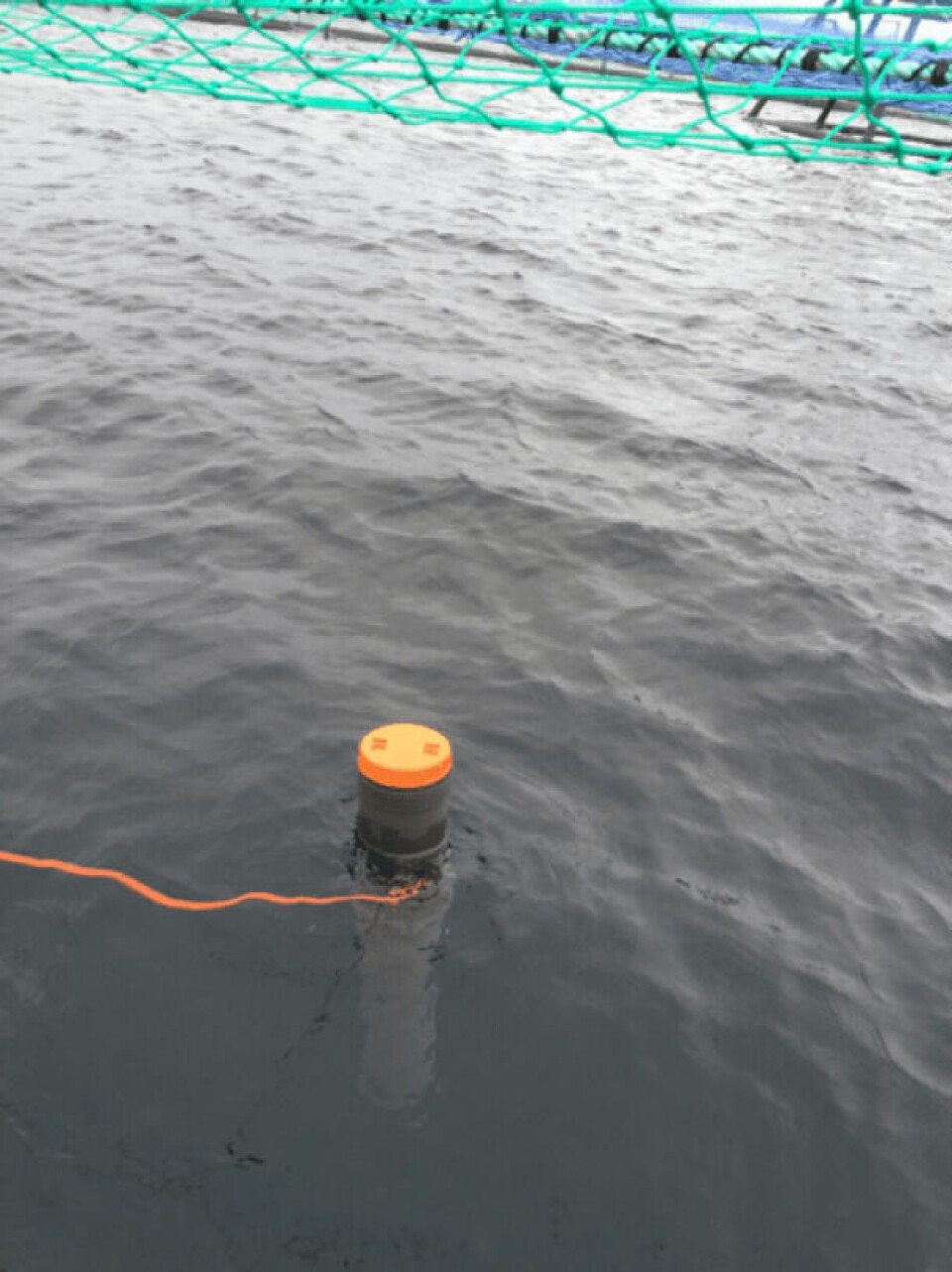 Meox i sjø. Foto: Rantex Marine.